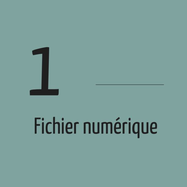 Fichier numérique x1